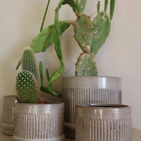 Apartman Zonnig Met Open Zicht